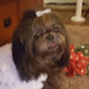 Meet your Posher, Jackie